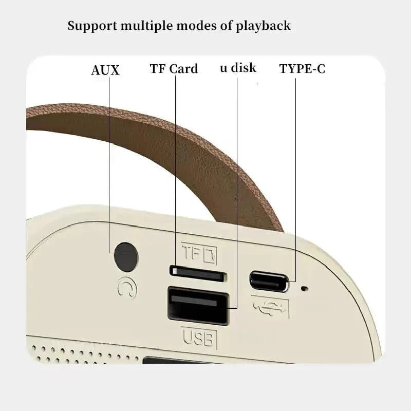 Kids Bluetooth Speaker System with 1 Wireless Mic (Imported)